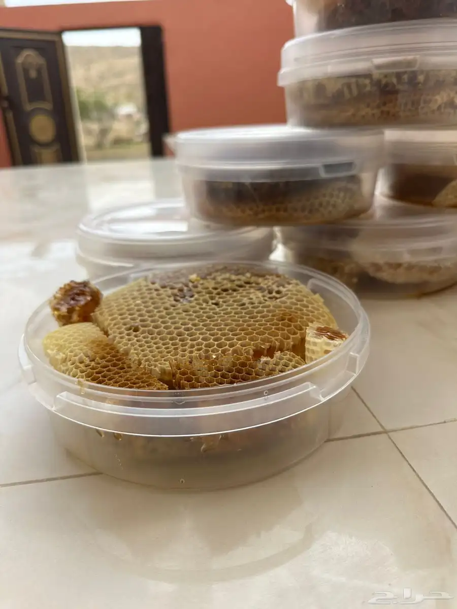عسل طلح شرط شرط شرط 1
