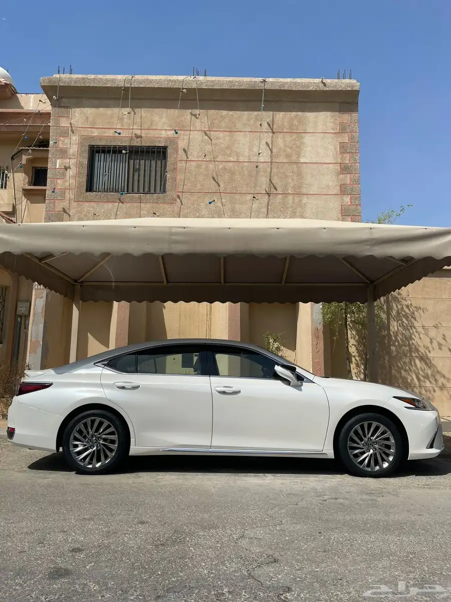 الشرقية 11