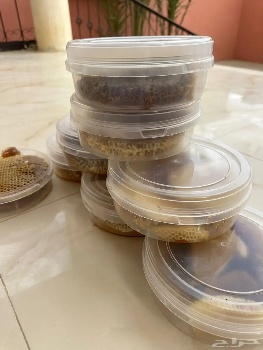 عسل طلح شرط شرط شرط 0