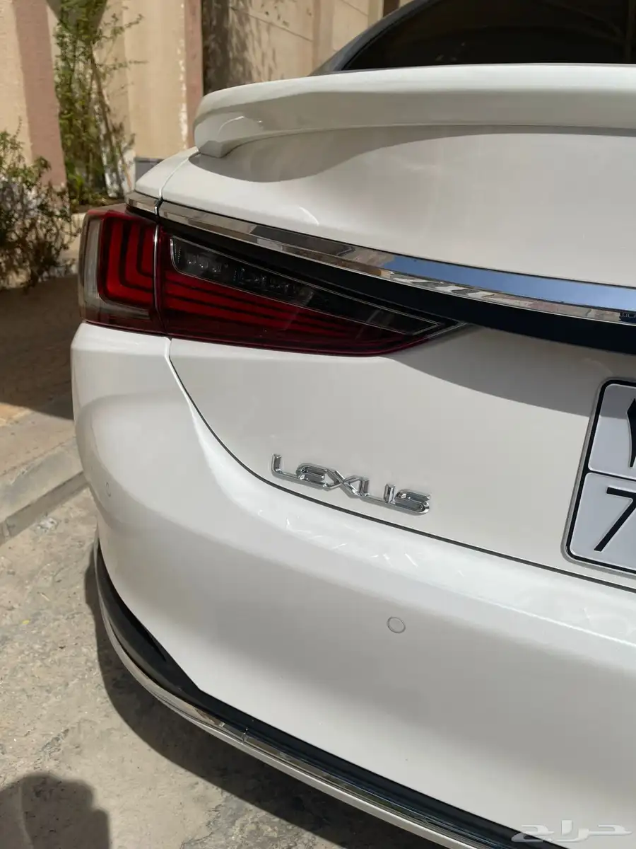 الشرقية 20