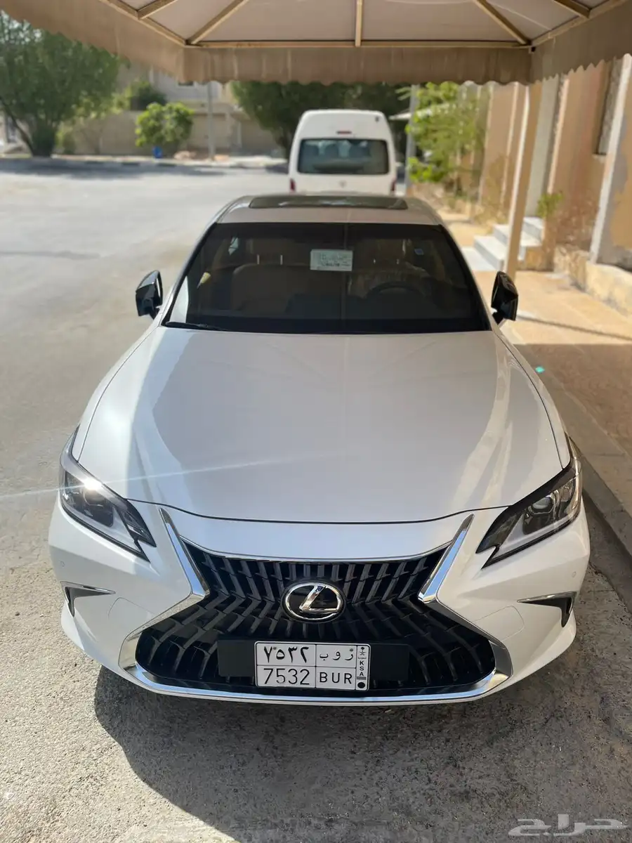 الشرقية 19