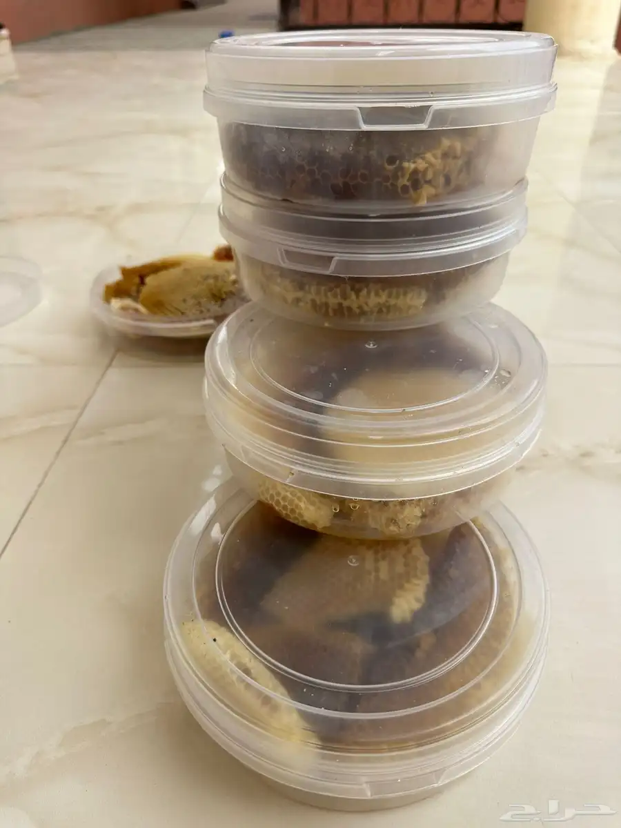 عسل طلح شرط شرط شرط 3