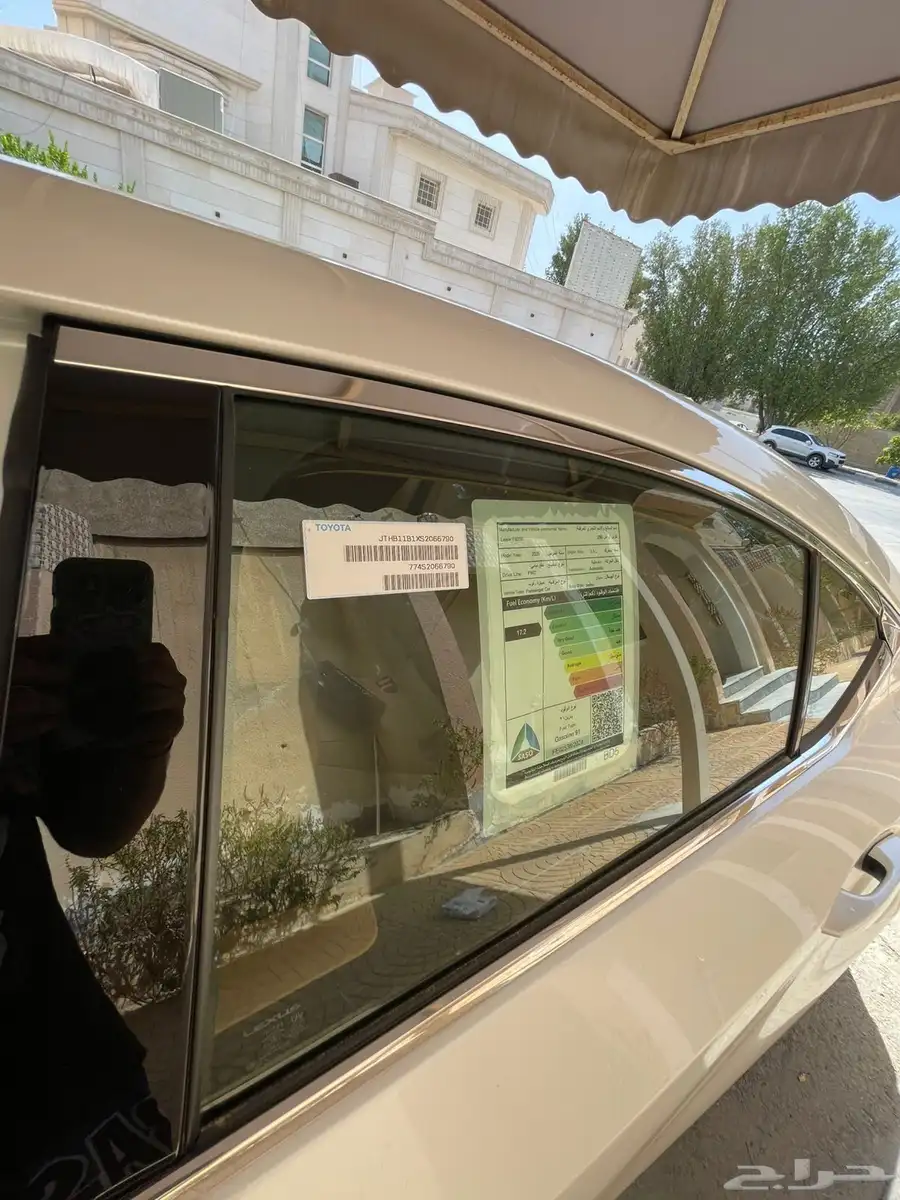 الشرقية 23