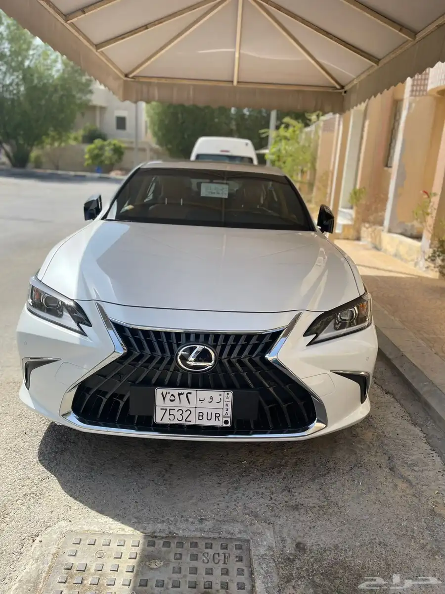 الشرقية 31