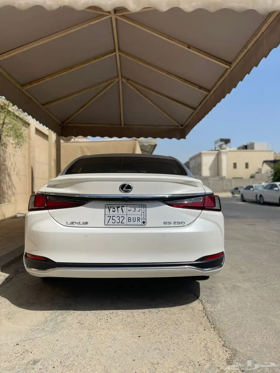 الشرقية 15