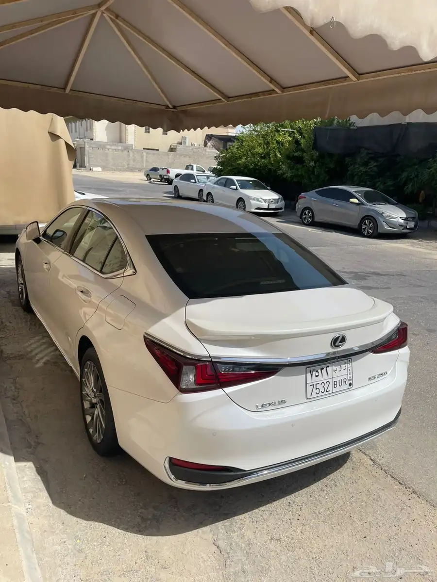 الشرقية 29