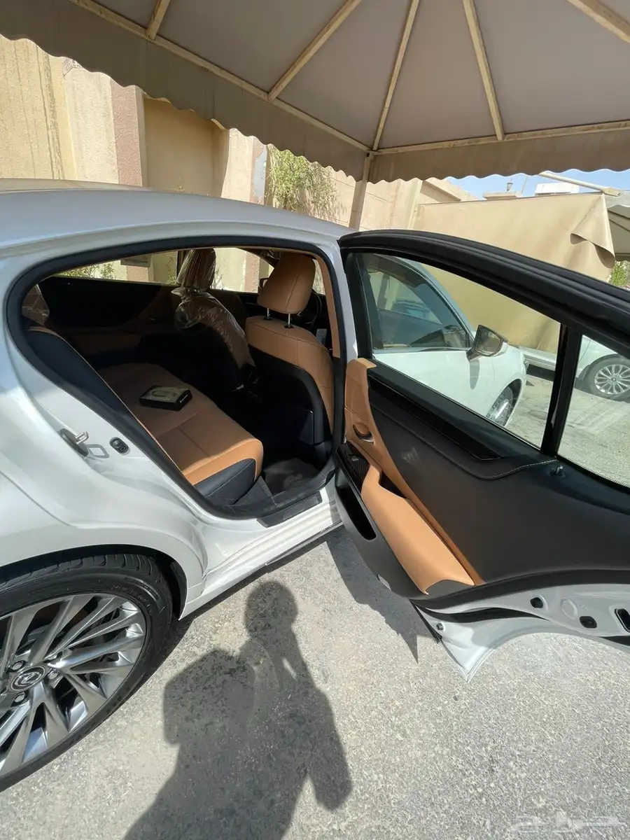 الشرقية 18
