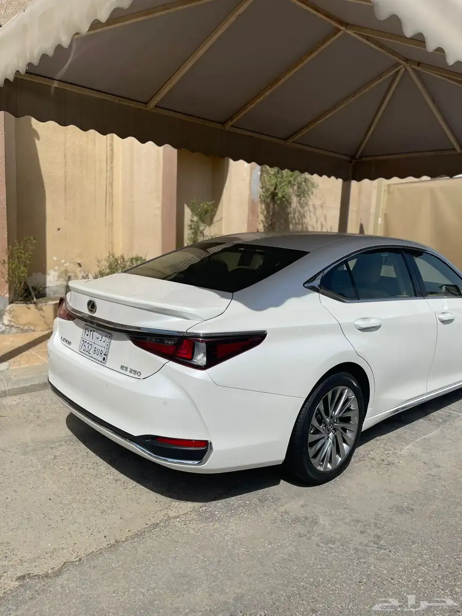 الشرقية 21