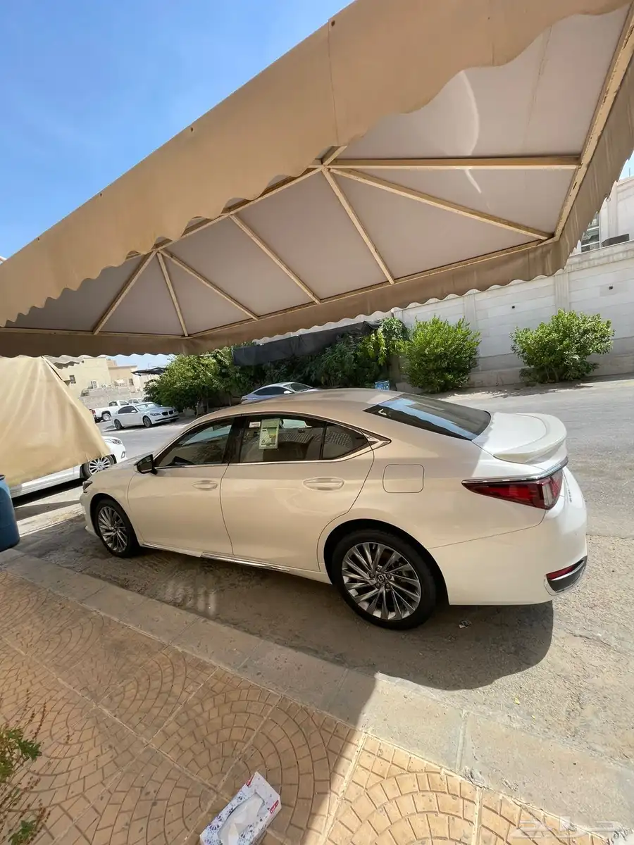 الشرقية 14