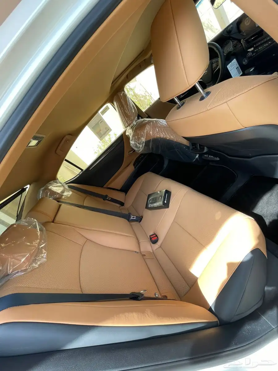 الشرقية 10