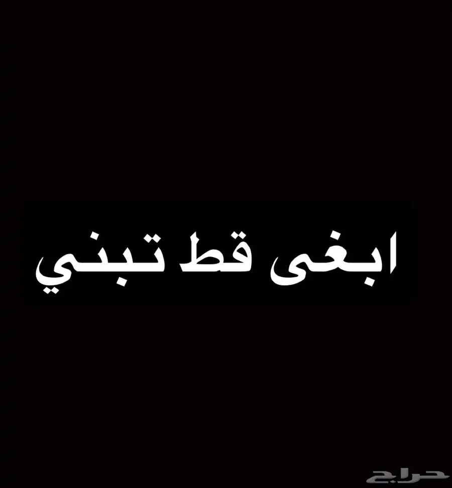 ابغى قط تبني (2-3 شهور)   مطعمه خاليه من الامراض 0