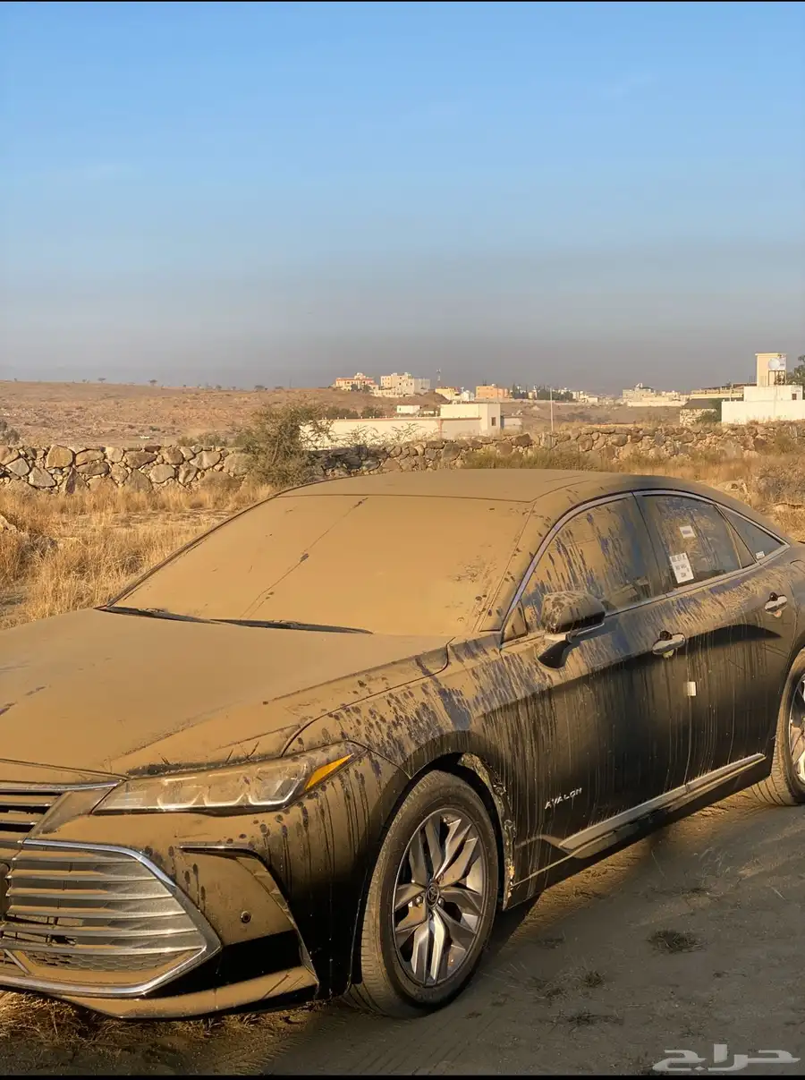 افالون تورنق 2022 0
