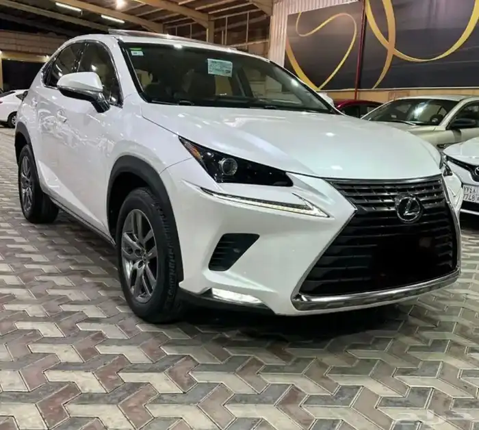 لكزس NX 300 موديل 2018 نظيف جدا 2