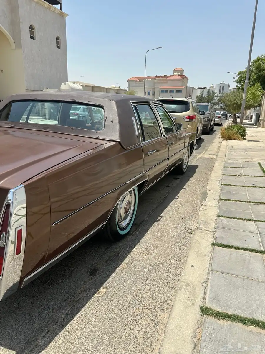 كدلك 1979 5