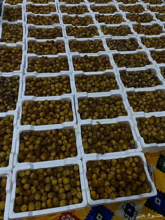 رطب روثانا 0