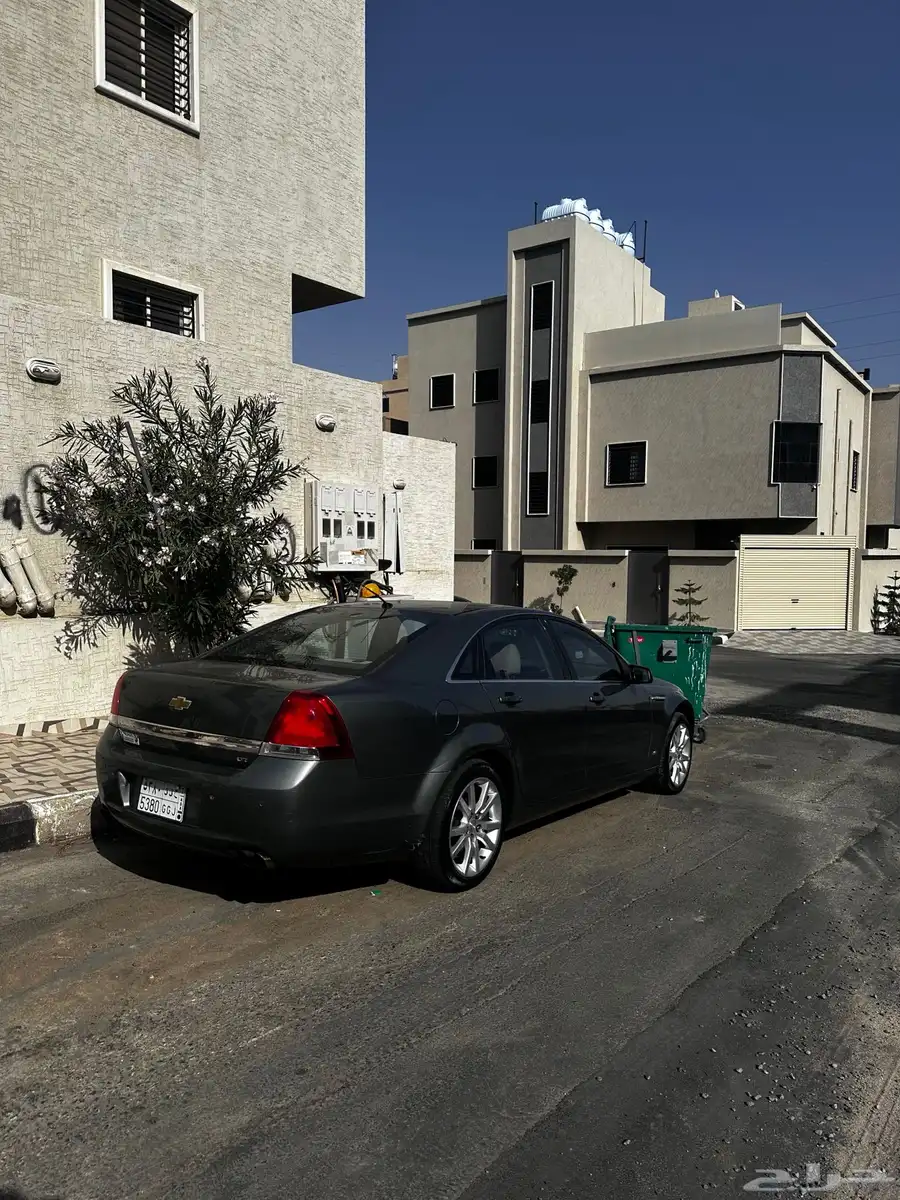 كابرس 2014 20