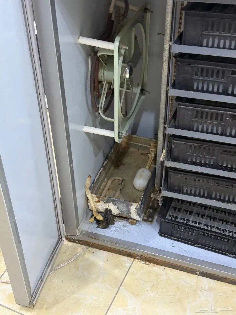 فقاسه تماتيك 0