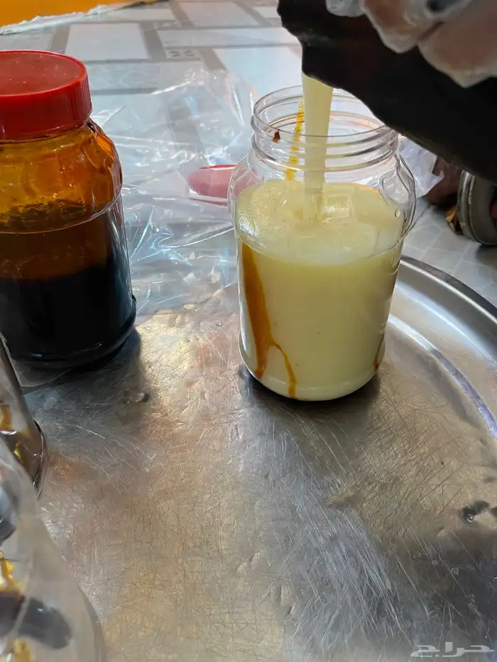 سمن غنم بري 2