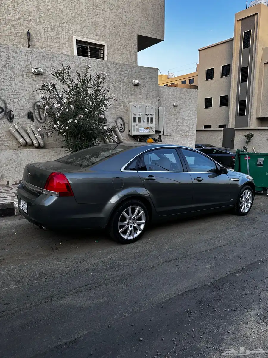 كابرس 2014 15