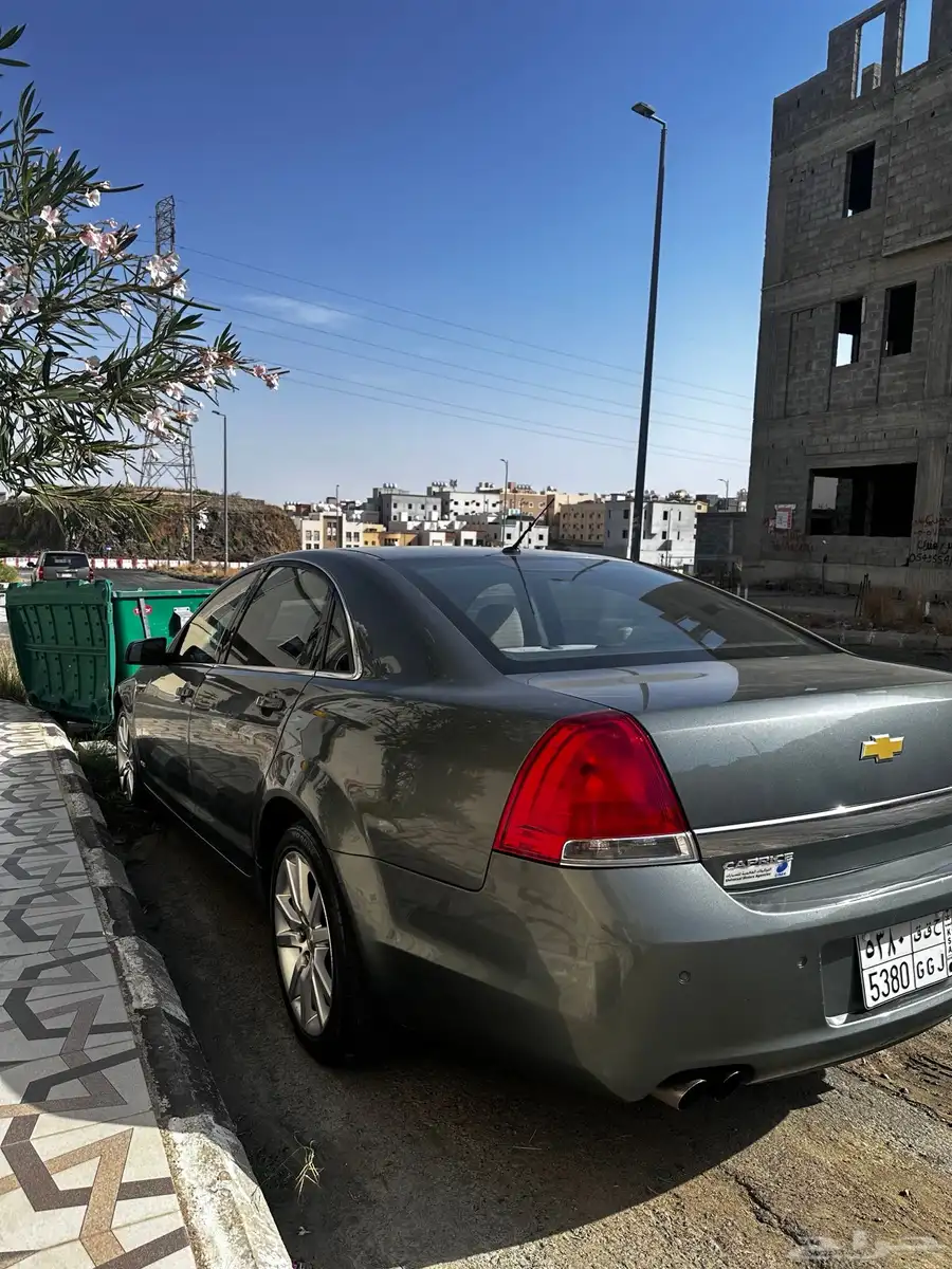 كابرس 2014 19