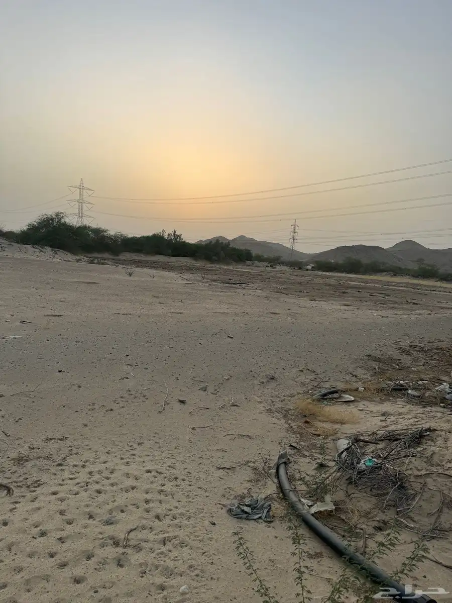مزرعه ايجار 0