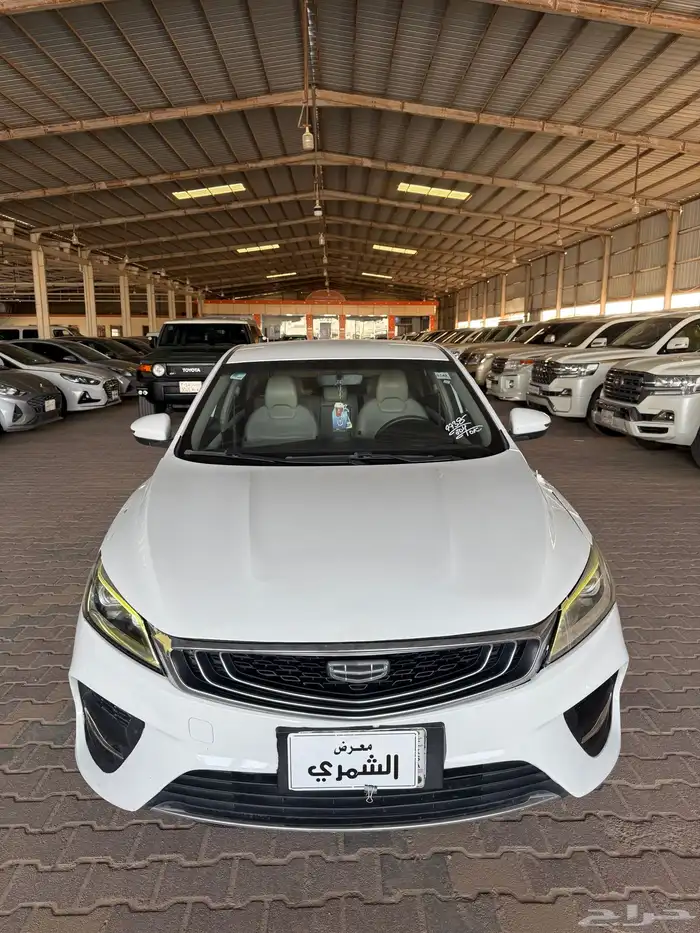 جيلي بينراى 2022 0