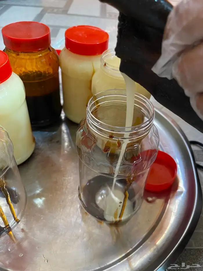 سمن غنم بري 1