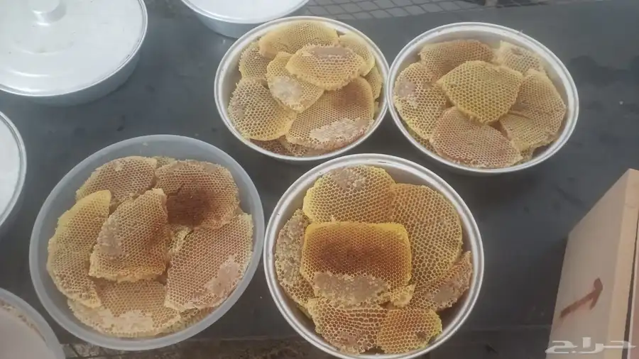 عسل طلح وسمره 2