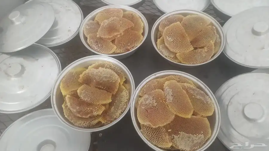 عسل طلح وسمره 3