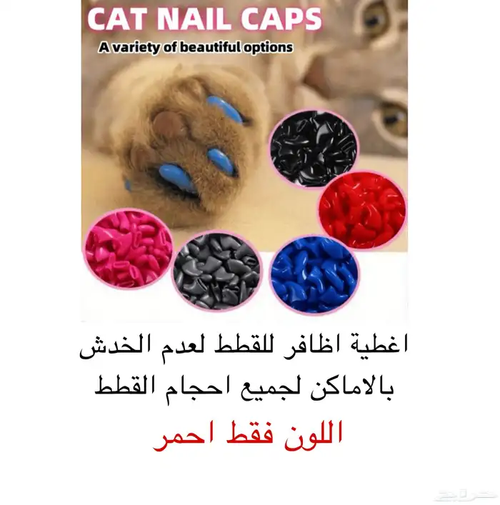 مستلزمات قطط للبيع اغراض قطط 4