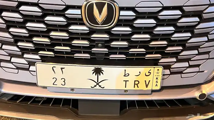 لوحة مميزة للبيع 0