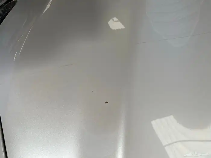 تم البيع 10