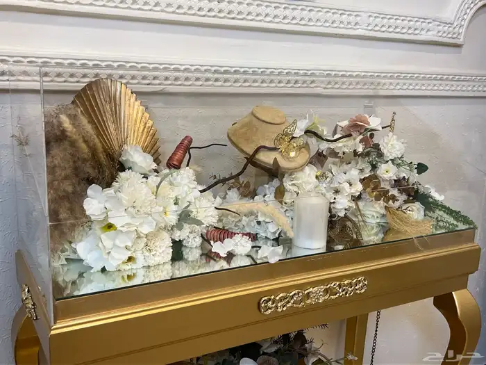 عربية شبكة 1