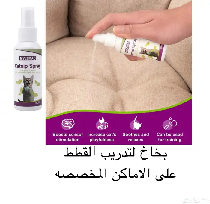 مستلزمات قطط للبيع اغراض قطط 2