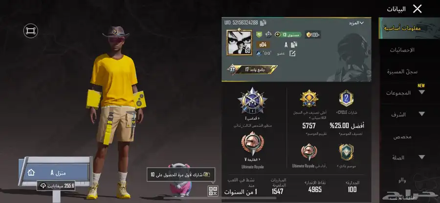 حساب ببجي للبيع 2