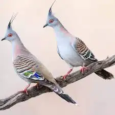 حمام خلخليت ازوج للانتاج 0