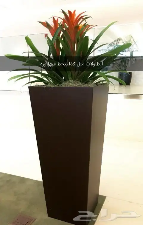 طاولات فازات ورد جديدة للبيع مانفك من تغليفه 0