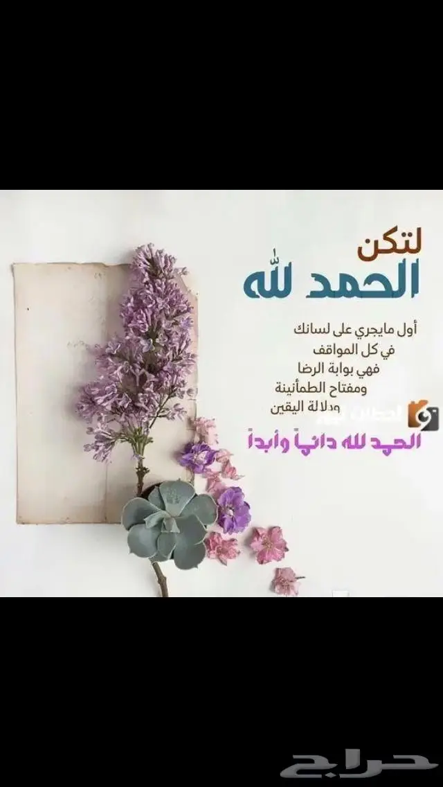 مستعمل فضة ثقيل مستعمل فاخر 35