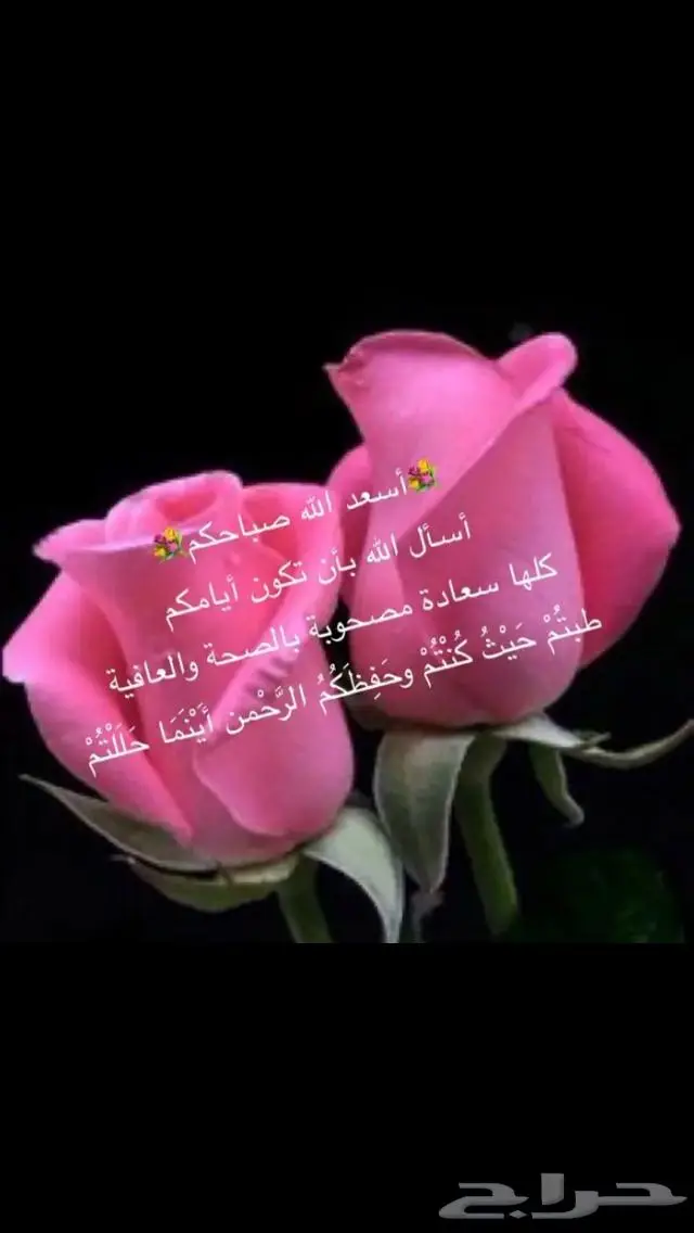 مستعمل فضة ثقيل مستعمل فاخر 23