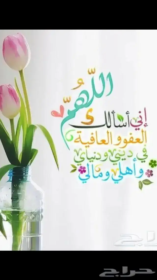 مستعمل فضة ثقيل مستعمل فاخر 33