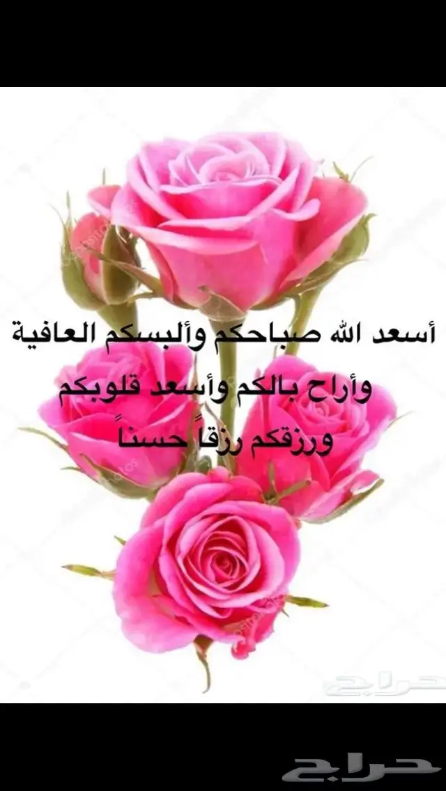 مستعمل فضة ثقيل مستعمل فاخر 17