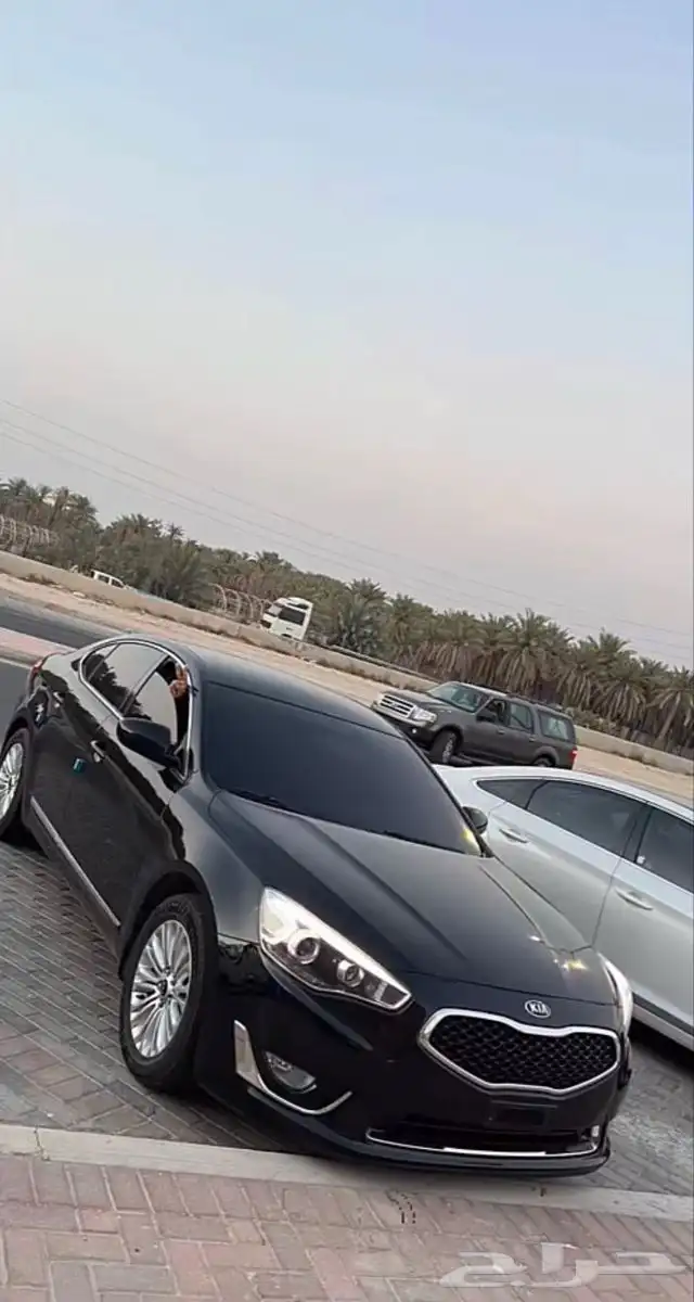 مطلووب مطلووب كادنزا 16 1