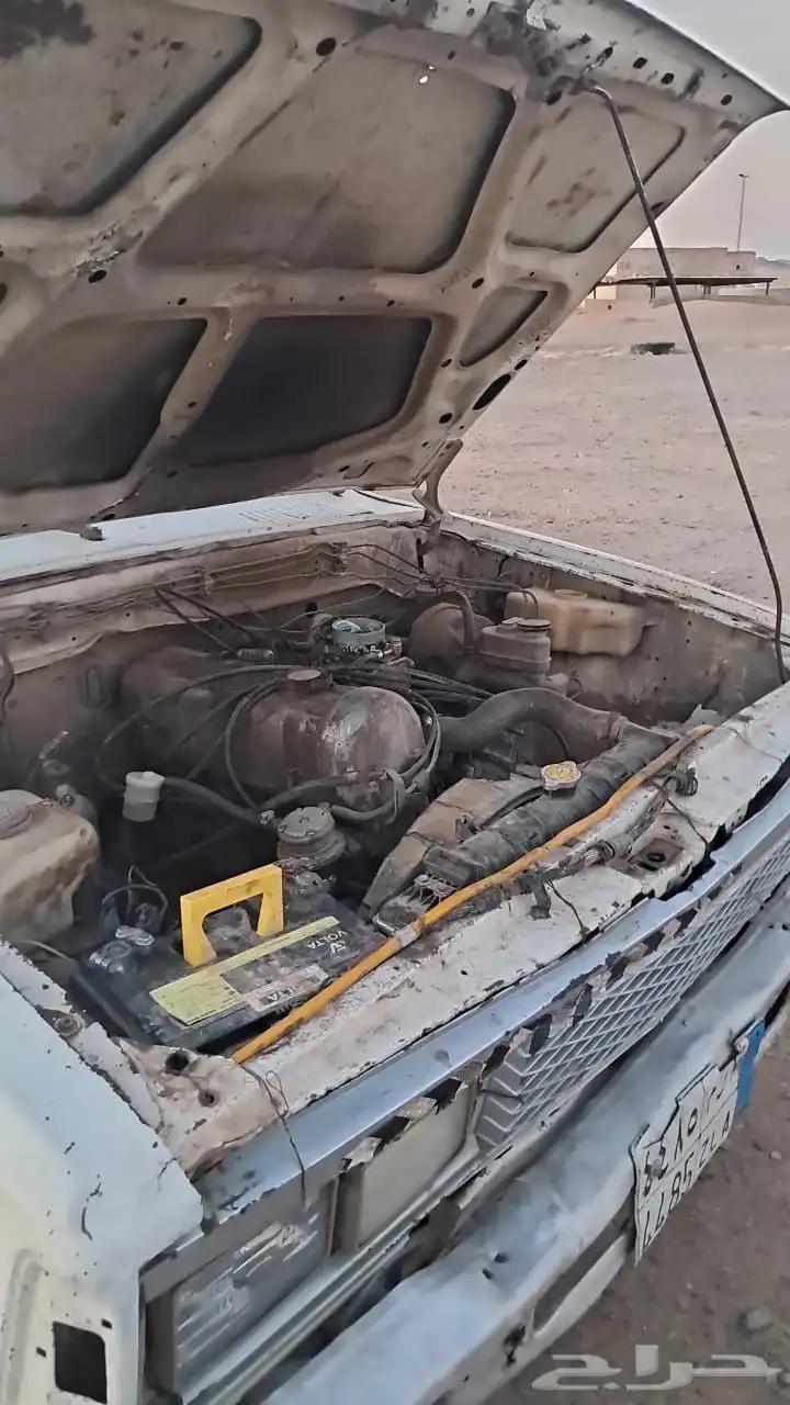 ددسن مديل83 بدون اوراق 3
