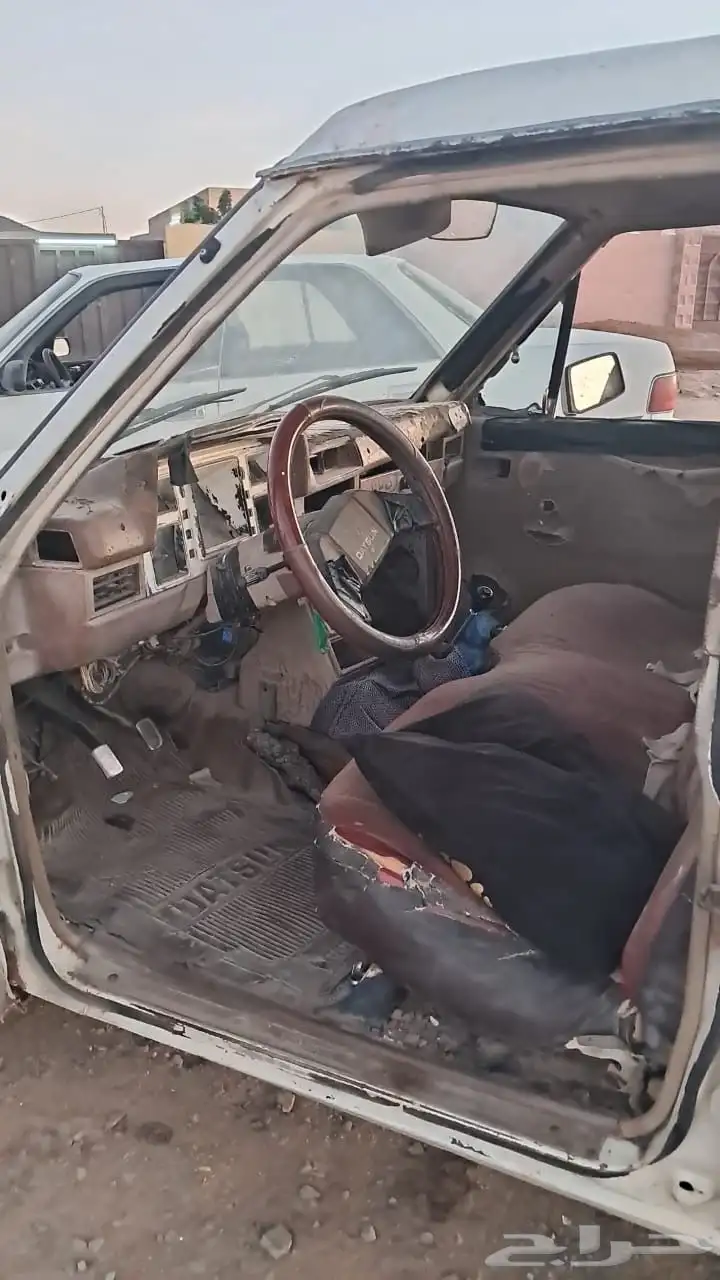 ددسن مديل83 بدون اوراق 5
