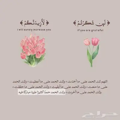 ابحث عن شقه عوائل للإيجار الشهري 0