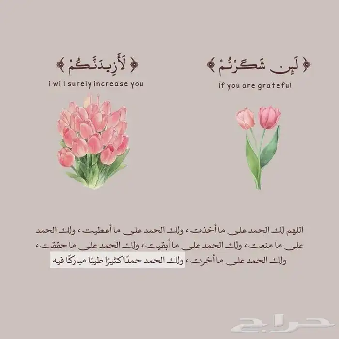ابحث عن شقه عوائل للإيجار الشهري 0