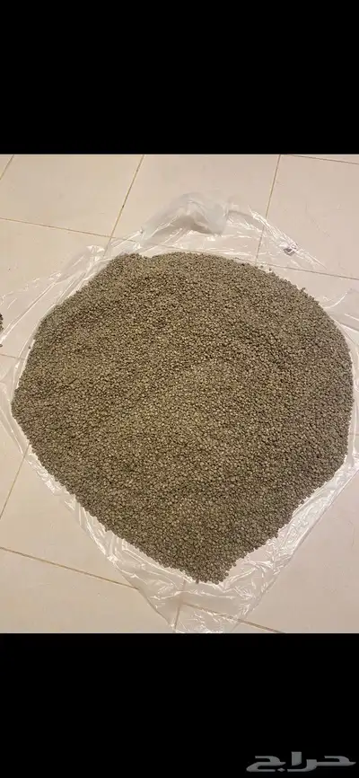 بن خولاني 3