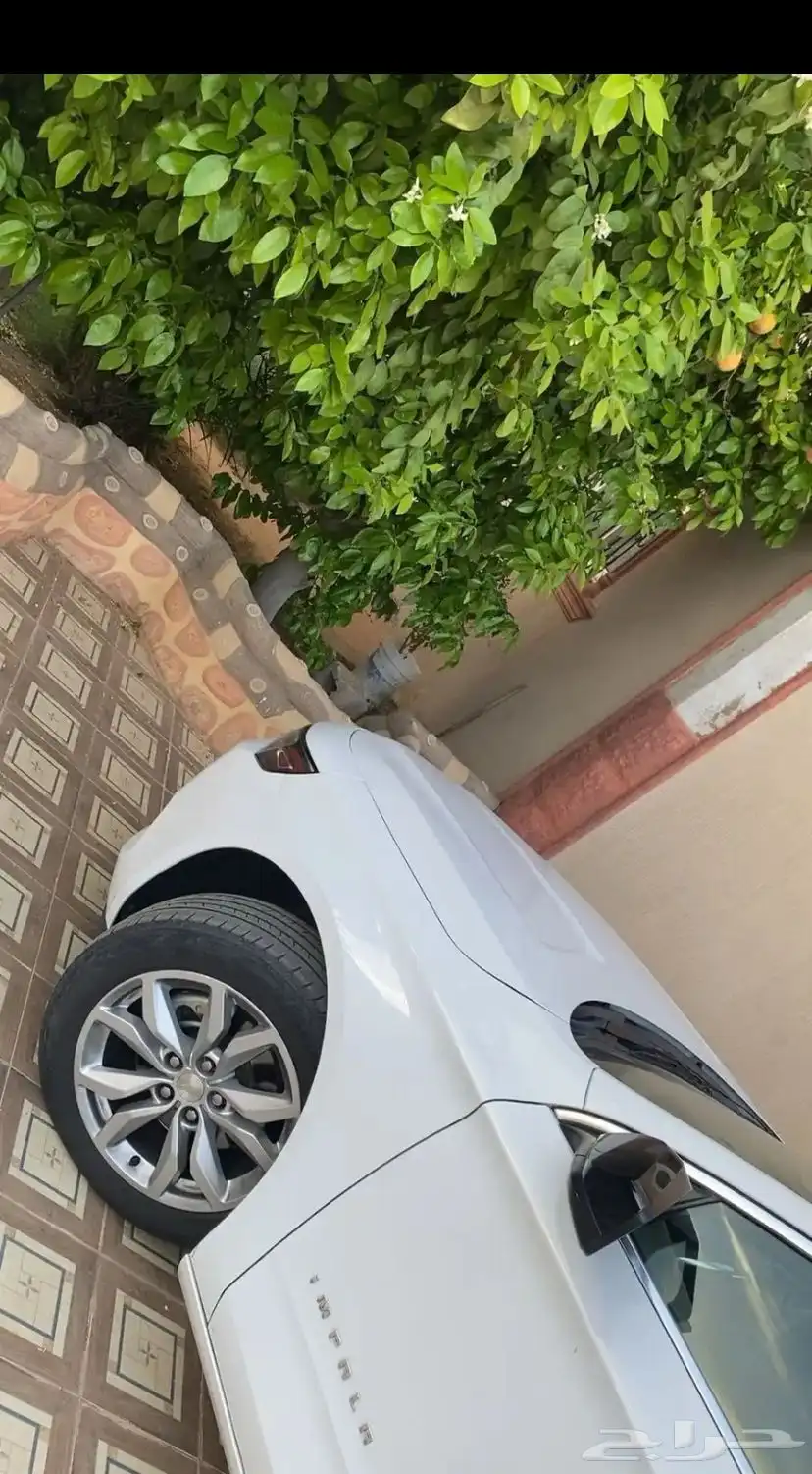 امبالا 2017 شرطط 17