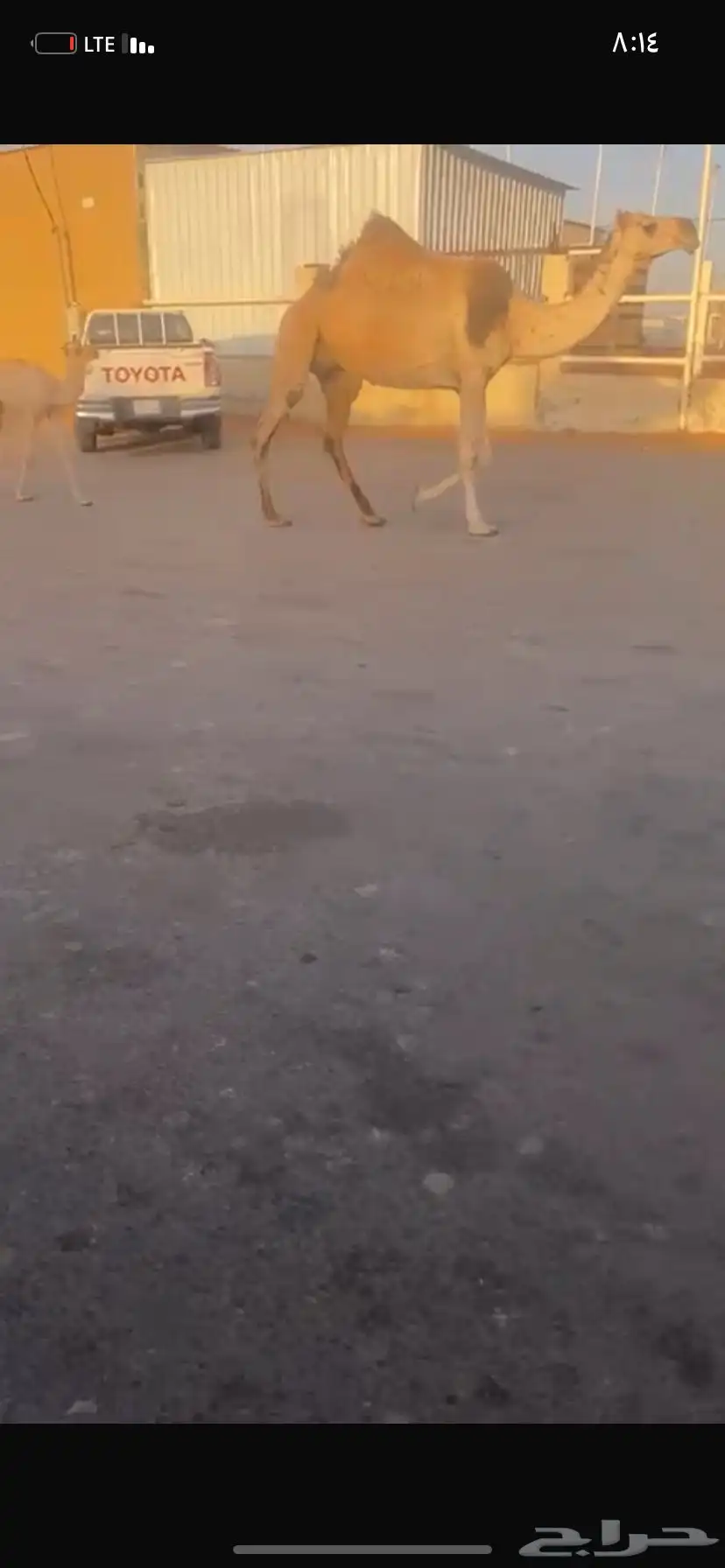 للبيع الخلفه الي حدره قعود 5