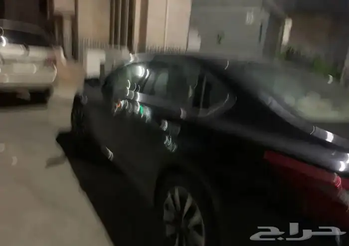 التيما للبيع وصل السوم 35 الف قريبا البيع 3